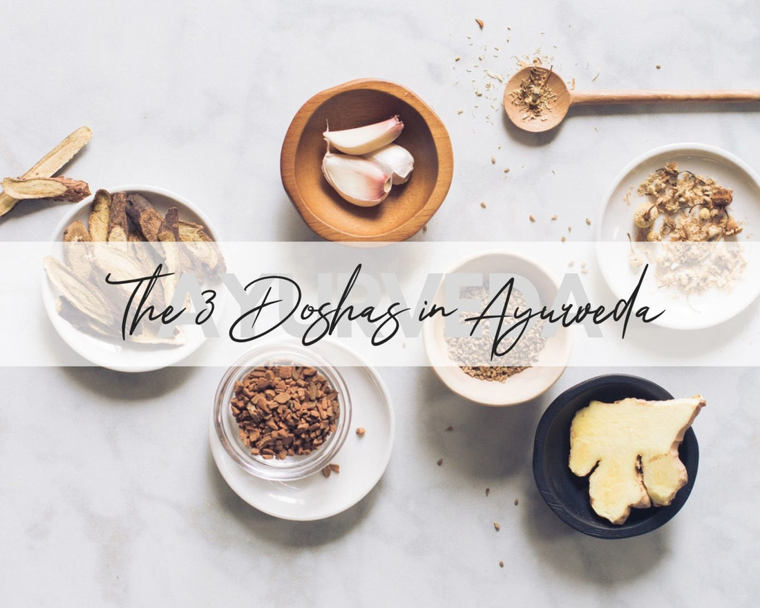 Three Primary Doshas in Ayurveda